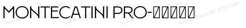 Montecatini Pro字体转换